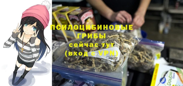 ГАЛЛЮЦИНОГЕННЫЕ ГРИБЫ Покровск