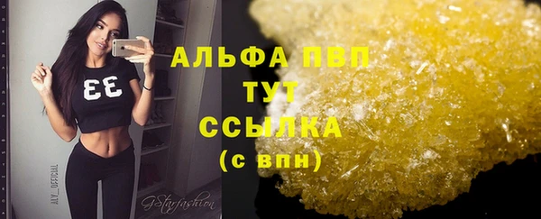 ГАЛЛЮЦИНОГЕННЫЕ ГРИБЫ Покровск