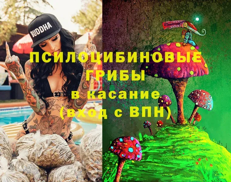 Галлюциногенные грибы MAGIC MUSHROOMS  Остров 