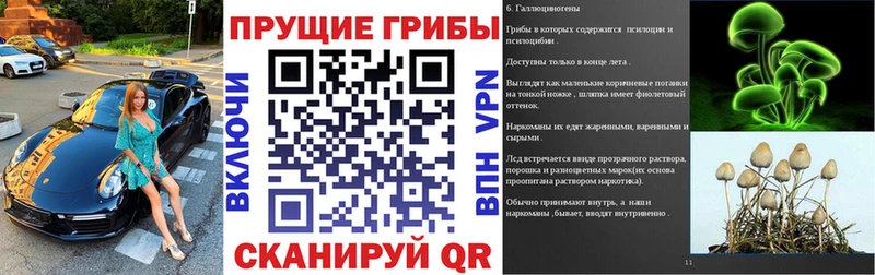 Псилоцибиновые грибы прущие грибы  Остров 